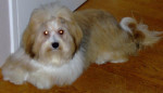 Romy 9 maanden oud